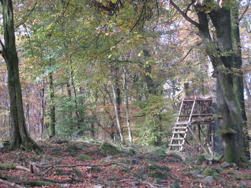 Les Terriers Saint-Hubert Villa Hatrival Kamer foto